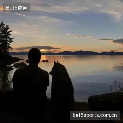 明锦柳